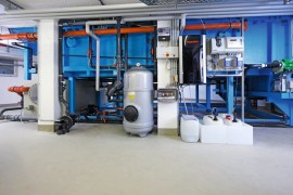 Deichkrone_25